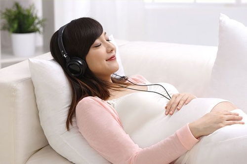 试管供卵代孕哪家好 试管供卵代孕哪家好